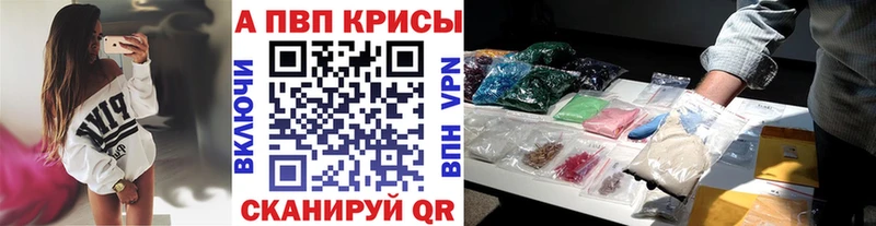 Альфа ПВП СК КРИС  Ачхой-Мартан 